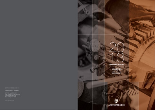 Vorschaubild Grupo México
 Jahresbericht 2013