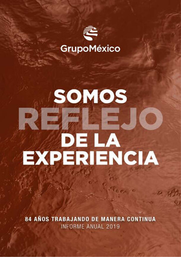 Vorschaubild Grupo México
 Jahresbericht 2019