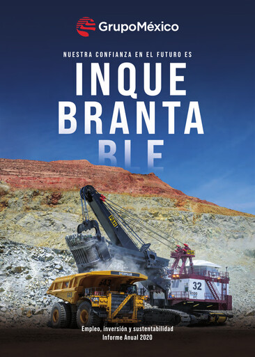 Vorschaubild Grupo México
 Jahresbericht 2020