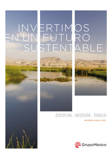 Thumbnail Grupo México
 Annual Report 2021