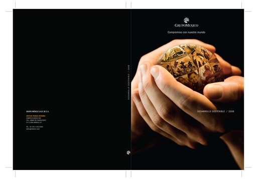 Vorschaubild Grupo México
 Nachhaltigkeitsbericht 2008
