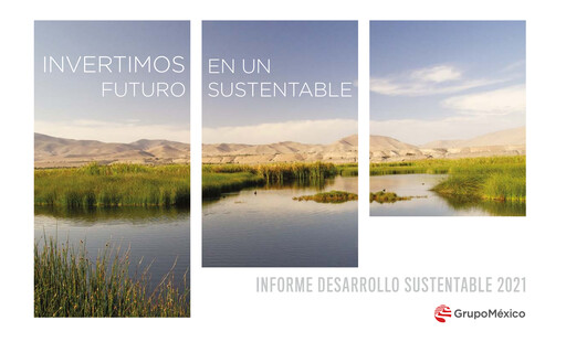 Thumbnail Grupo México
 Sustainability Report 2021