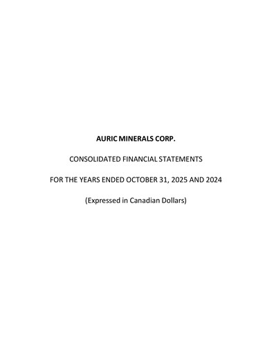 Miniature Auric Minerals Bilan financier 2025