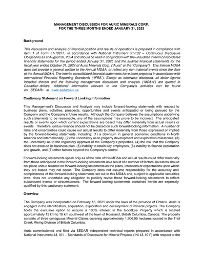 Miniature Auric Minerals Rapport trimestriel 2025-q1