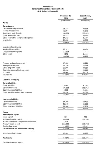 Thumbnail Radware Financial Statement 2024