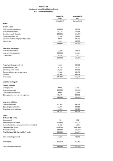 Thumbnail Radware Financial Statement 2025-q1