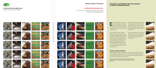 Miniature CF Industries
 Rapport annuel 2005