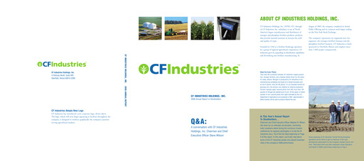 Miniature CF Industries
 Rapport annuel 2006
