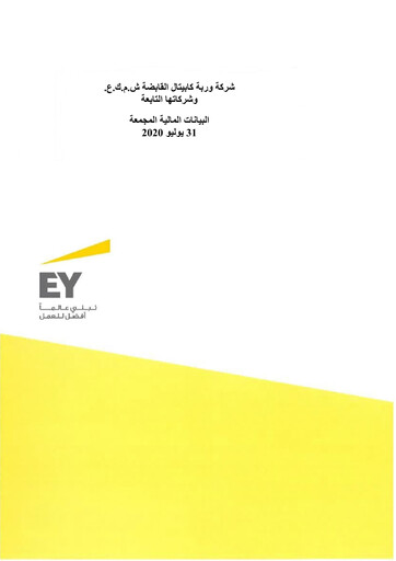 Miniature Warba Capital Holding Company Bilan financier 2020