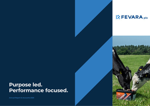 Vorschaubild Fevara Jahresbericht 2025
