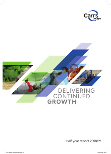 Miniature Fevara Rapport semestriel 2019-h1