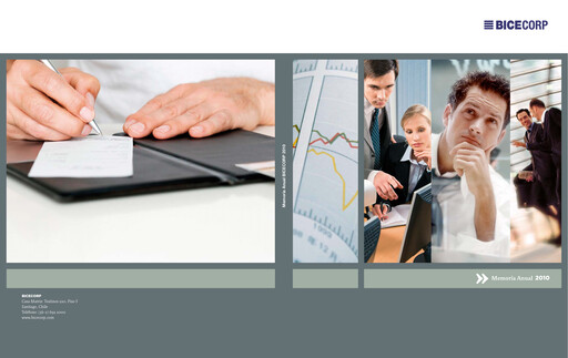 Miniature Bicecorp Rapport annuel 2010