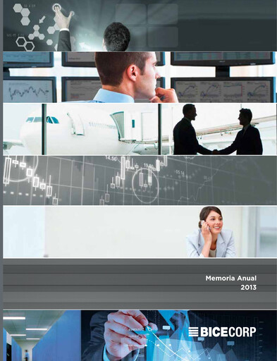 Miniature Bicecorp Rapport annuel 2013