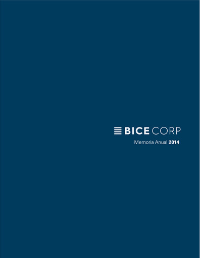 Miniature Bicecorp Rapport annuel 2014
