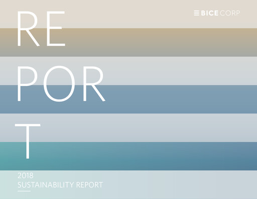 Vorschaubild Bicecorp Nachhaltigkeitsbericht 2018