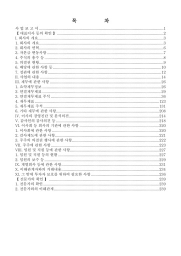 Thumbnail Snt Dynamics Annual Report 2020