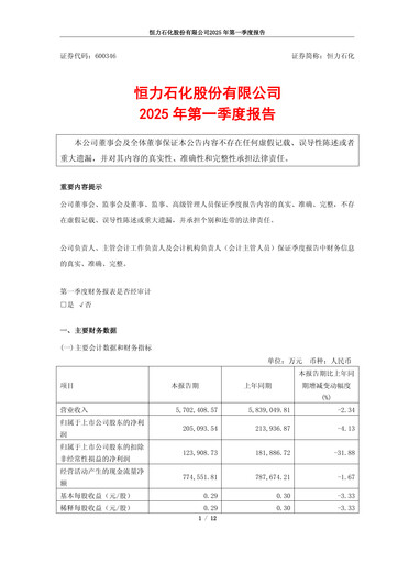 Thumbnail Hengli Petrochemical Quarterly Report 2025-q1