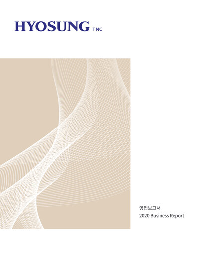 Vorschaubild Hyosung TNC Corporation Finanzbericht 2020