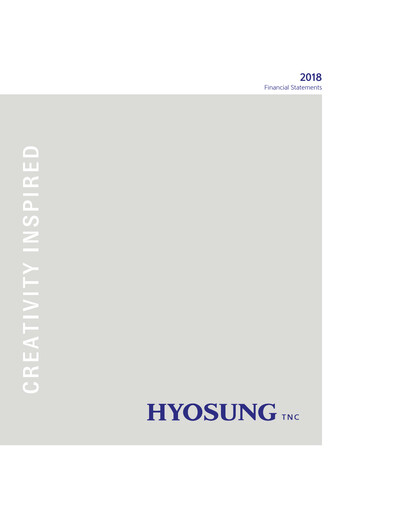 Thumbnail Hyosung TNC Corporation Financial Statement 2018