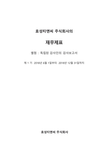 Thumbnail Hyosung TNC Corporation Financial Statement 2018