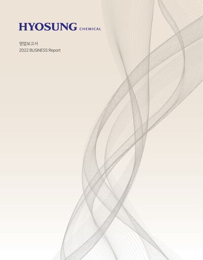 Thumbnail Hyosung Chemical Corporation Financial Report 2022