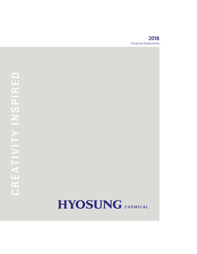 Thumbnail Hyosung Chemical Corporation Financial Statement 2018