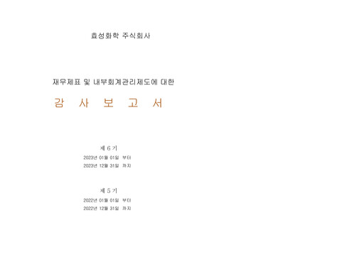 Thumbnail Hyosung Chemical Corporation Financial Statement 2023