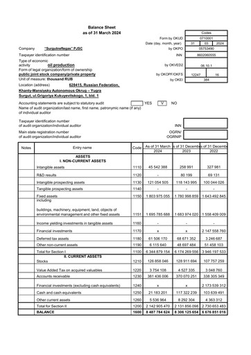Thumbnail Surgutneftegas Financial Statement 2024-q1