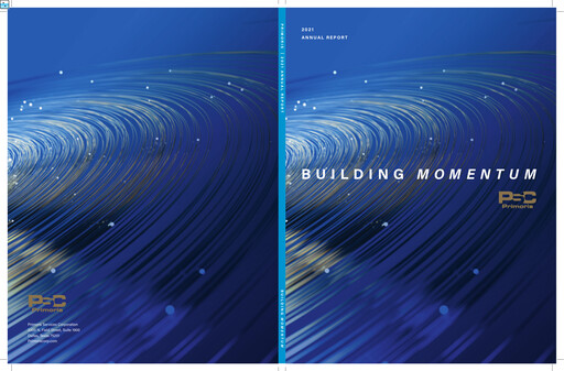 Thumbnail Primoris Services Corporation
 Annual Report 2021