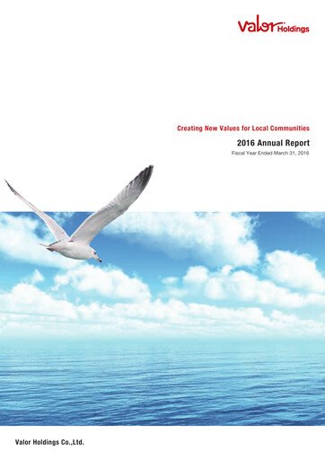 Miniature Valor Holdings Rapport annuel 2016