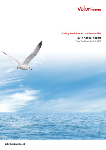 Miniature Valor Holdings Rapport annuel 2017