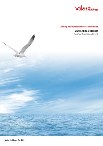 Miniature Valor Holdings Rapport annuel 2018