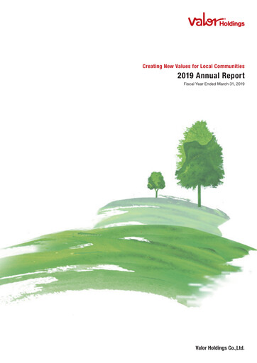 Miniature Valor Holdings Rapport annuel 2019