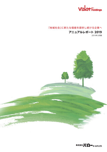 Miniature Valor Holdings Rapport annuel 2019