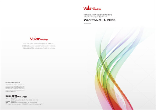 Miniature Valor Holdings Rapport annuel 2025