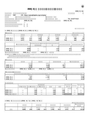 Vorschaubild AlphaPolis Finanzbericht fy2020