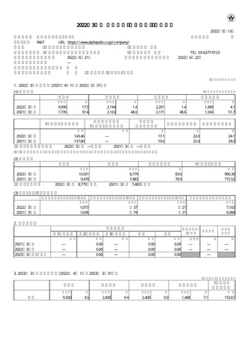 Thumbnail AlphaPolis Financial Statement fy2022