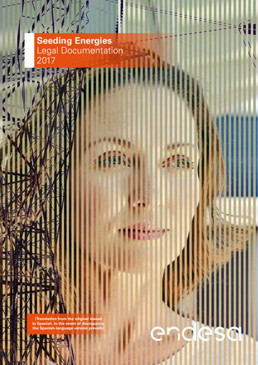 Thumbnail Endesa Financial Report 2017