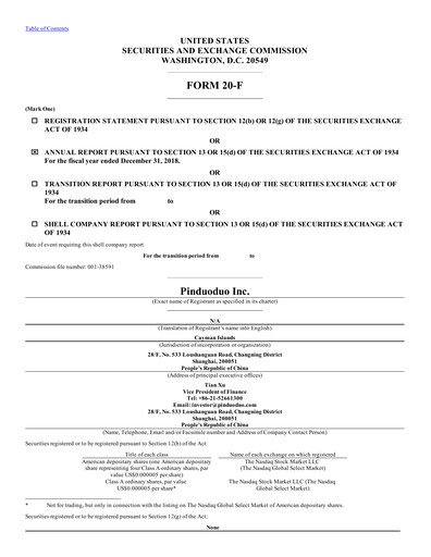 Thumbnail PDD Holdings (Pinduoduo) Annual Report 2018