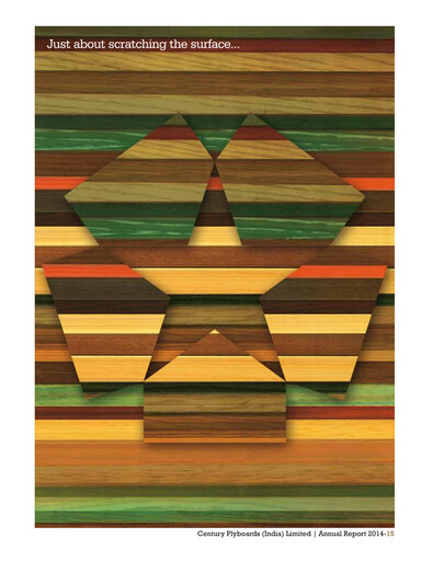 Vorschaubild CenturyPly Jahresbericht 2014-2015