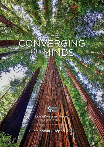 Miniature Kerry Properties Rapport de durabilité 2016