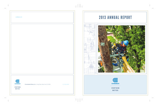 Thumbnail Consolidated Edison Annual Report 2013