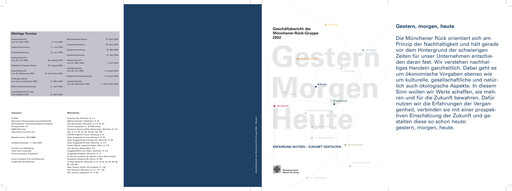 Vorschaubild Munich RE (Münchener Rück) Jahresbericht 2002