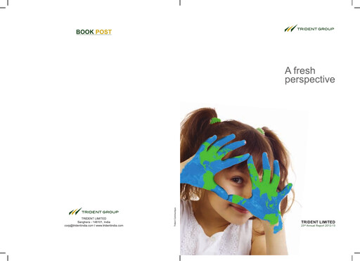 Thumbnail Trident Annual Report 2012-2013