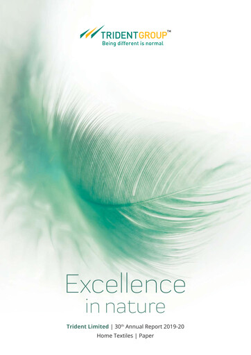 Thumbnail Trident Annual Report 2019-2020