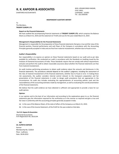 Vorschaubild Trident Finanzmitteilung 2018-2019