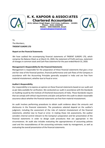 Vorschaubild Trident Finanzmitteilung 2019-2020