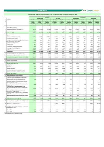 Thumbnail Trident Financial Statement 2021-2022