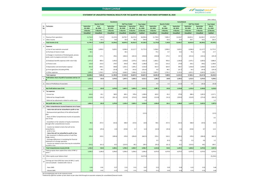 Thumbnail Trident Half-year Report 2020-h1