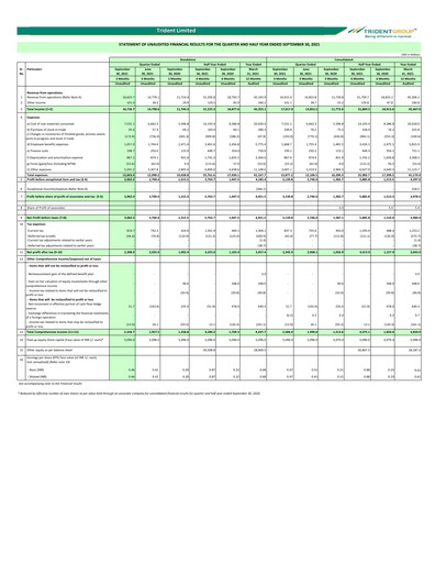 Thumbnail Trident Half-year Report 2021-h1